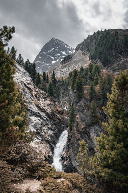 Mountain Landscapes - Discover the scenic waterfall amidst pine trees  #12643375