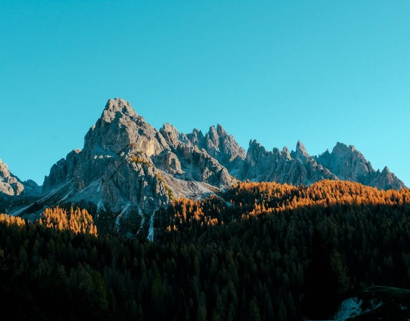 Mountain Landscapes - Majestic peaks and autumn forest bathed in morni #1526718