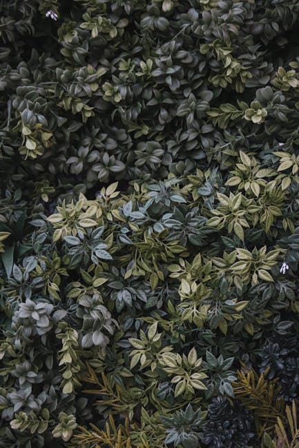 Flowers & Plants - Close-up view of lush green foliage showcasing d #20721530