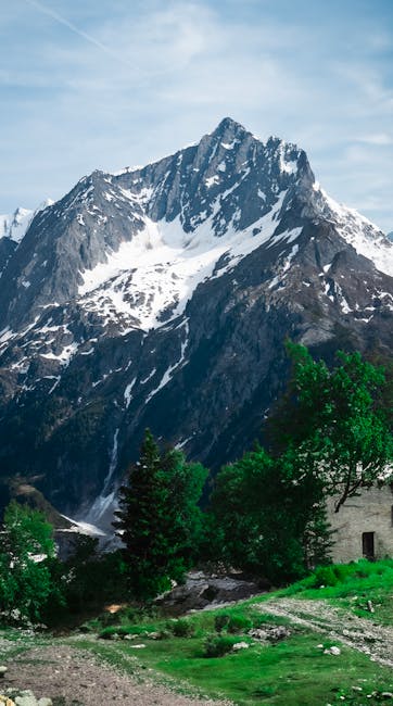 Mountain Landscapes - Majestic snowcapped mountain with lush green for #28828324