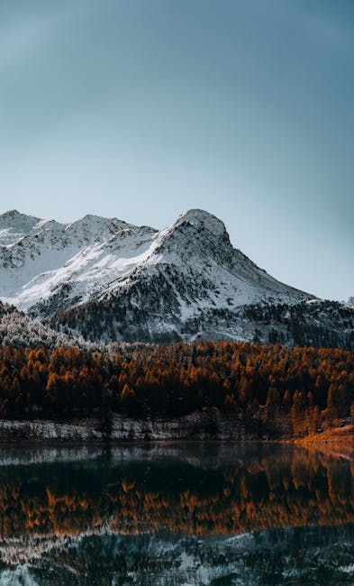 Mountain Landscapes - Majestic snowy mountain and forest reflected in  #35116996