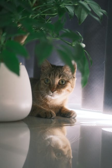 Cute Pets - A serene tabby cat relaxes indoors next to a lus #35824988